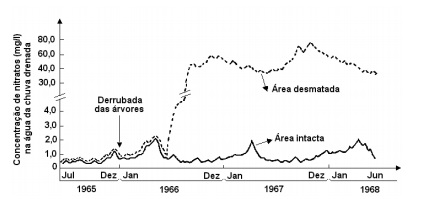 Imagem incorporada pela fonte (Kuadro) sem texto alternativo; conteúdo a descrever na revisão.