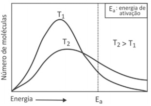 Imagem incorporada pela fonte (Kuadro) sem texto alternativo; conteúdo a descrever na revisão.