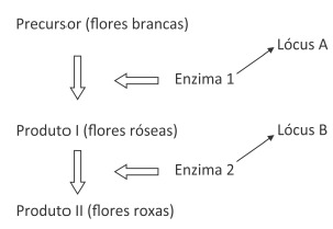 Imagem incorporada pela fonte (Kuadro) sem texto alternativo; conteúdo a descrever na revisão.