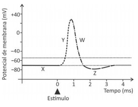 Imagem incorporada pela fonte (Kuadro) sem texto alternativo; conteúdo a descrever na revisão.