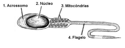 Imagem incorporada pela fonte (Kuadro) sem texto alternativo; conteúdo a descrever na revisão.