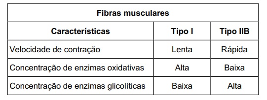 Imagem incorporada pela fonte (Kuadro) sem texto alternativo; conteúdo a descrever na revisão.