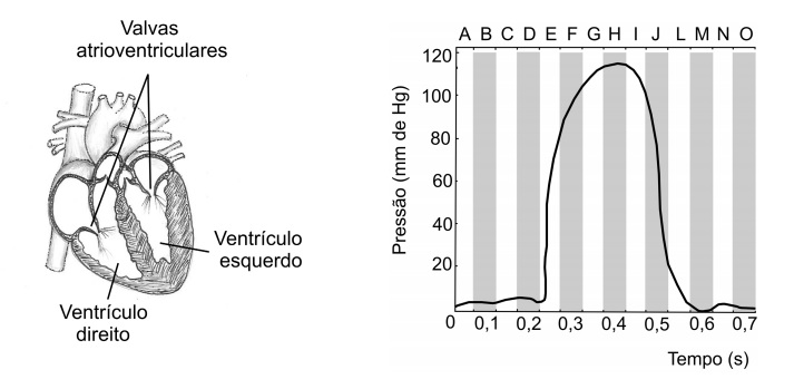 Imagem incorporada pela fonte (Kuadro) sem texto alternativo; conteúdo a descrever na revisão.