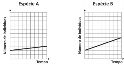 Imagem incorporada pela fonte (Kuadro) sem texto alternativo; conteúdo a descrever na revisão.
