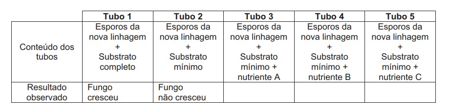 Imagem incorporada pela fonte (Kuadro) sem texto alternativo; conteúdo a descrever na revisão.