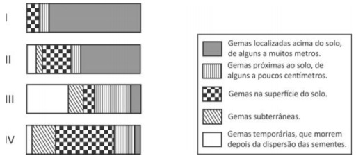 Imagem incorporada pela fonte (Kuadro) sem texto alternativo; conteúdo a descrever na revisão.