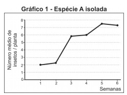 Imagem incorporada pela fonte (Kuadro) sem texto alternativo; conteúdo a descrever na revisão.
