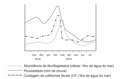 Imagem incorporada pela fonte (Kuadro) sem texto alternativo; conteúdo a descrever na revisão.